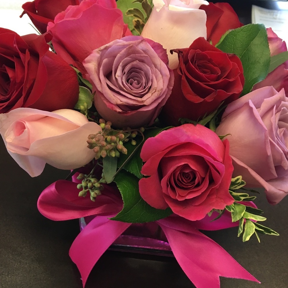 Meet your Posher, Erin